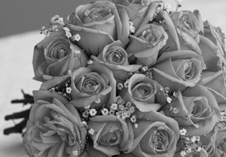 Cornwall Wedding Venues