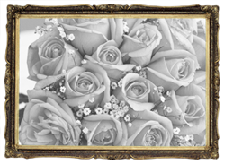 weddings Cornwall